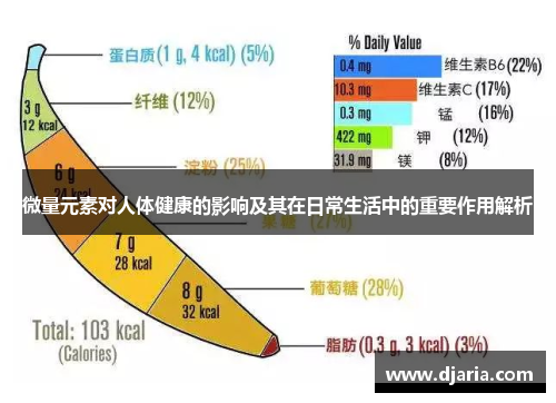 微量元素对人体健康的影响及其在日常生活中的重要作用解析